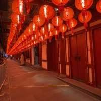 Chinese New Year 2025 à Chinatown !