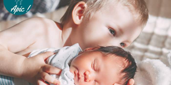 Atelier "l'arrivée de bébé dans la fratrie"