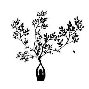 Coaching 'Arbre de Vie'