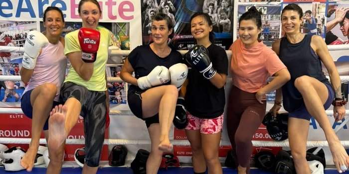 Fit Boxing 