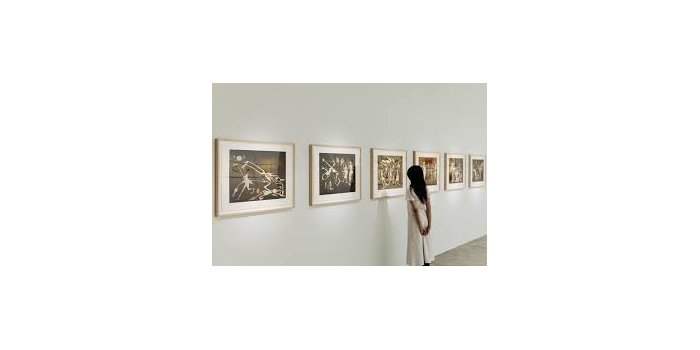 Visites guidées des musées - STPI Gallery, "Outside In"