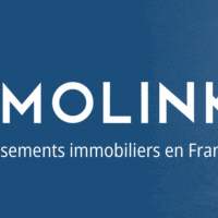 Conférence PATRIMOLINK : L'investissement immobilier en France