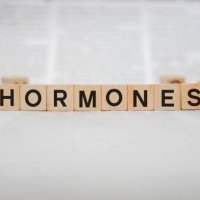 CONFÉRENCE : "Nutrition & Equilibre hormonal"