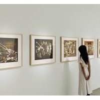 Visites guidées des musées - STPI Gallery, "Outside In"